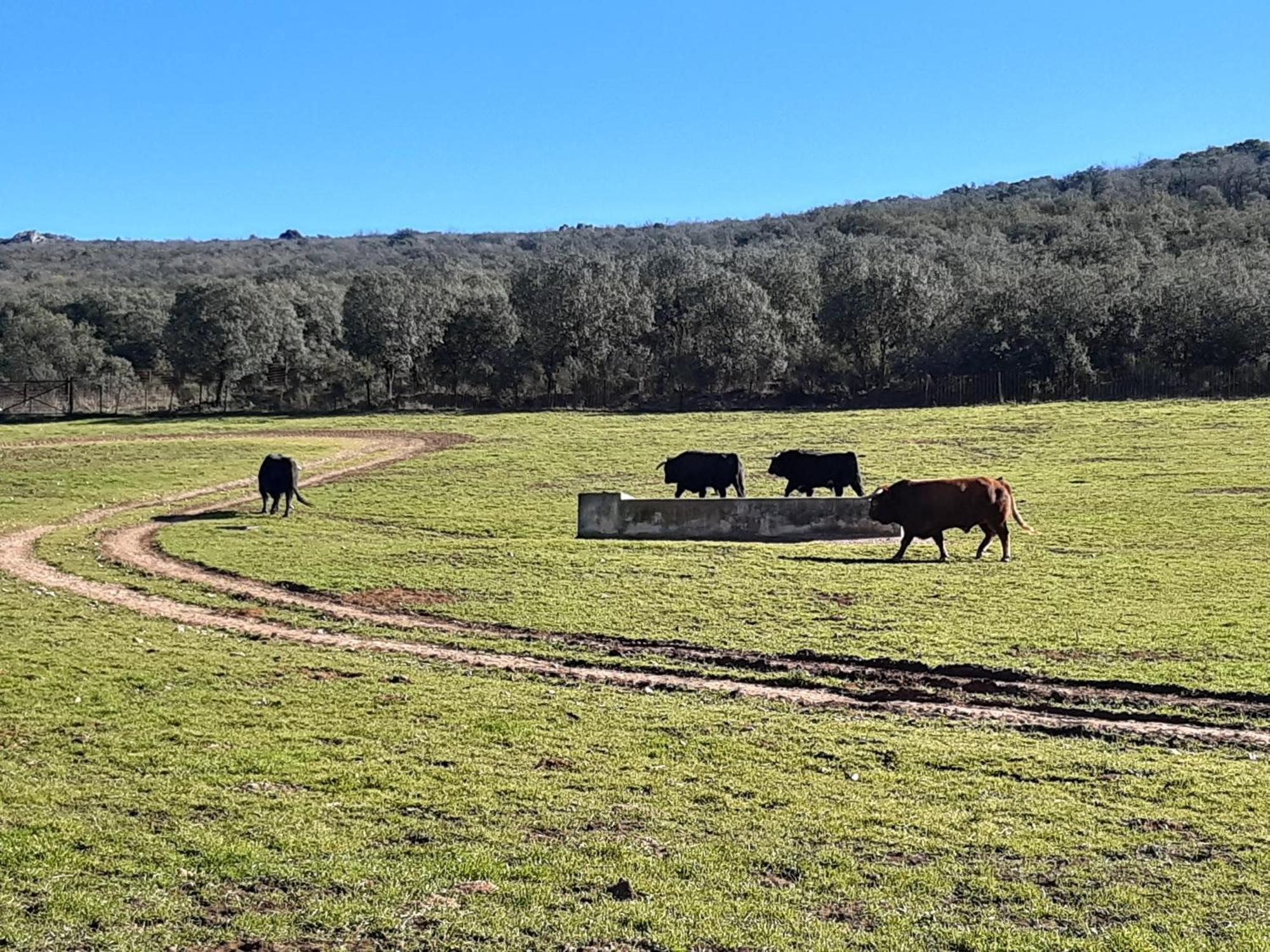 Appartamento Casa Juana Michibert Daimiel Esterno foto